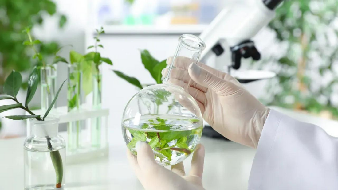 Sustainable Ingredient Sourcing, The Challenges & Opportunities