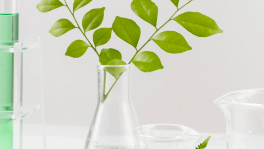 How Local Sourcing Creates Sustainable Cosmetics